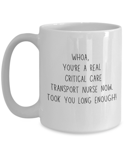 Critical Care Nurse