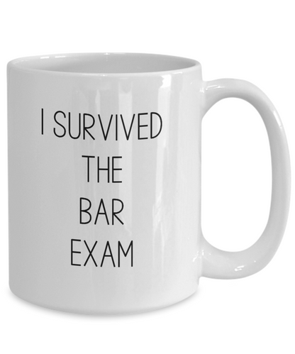 I Survived the Bar Exam