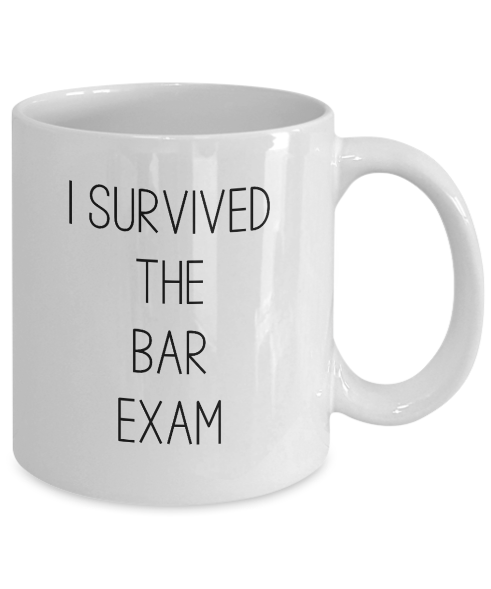 I Survived the Bar Exam