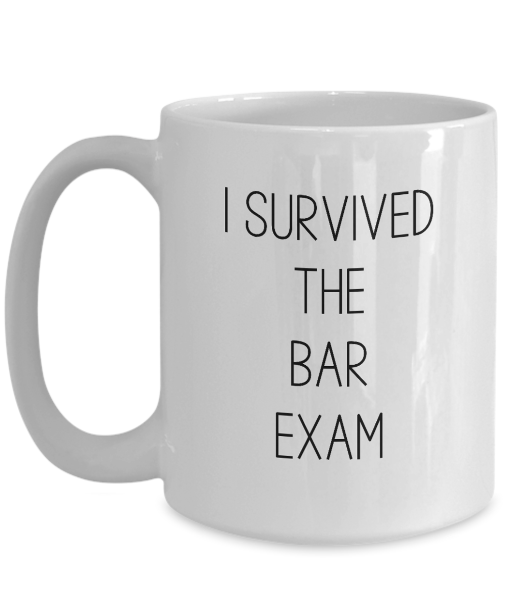 I Survived the Bar Exam