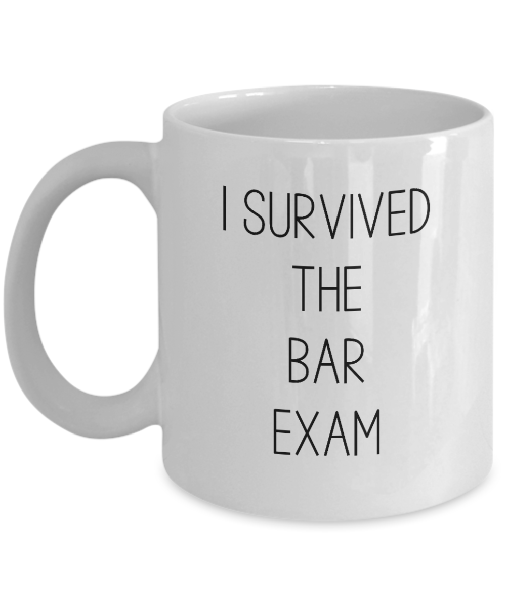 I Survived the Bar Exam