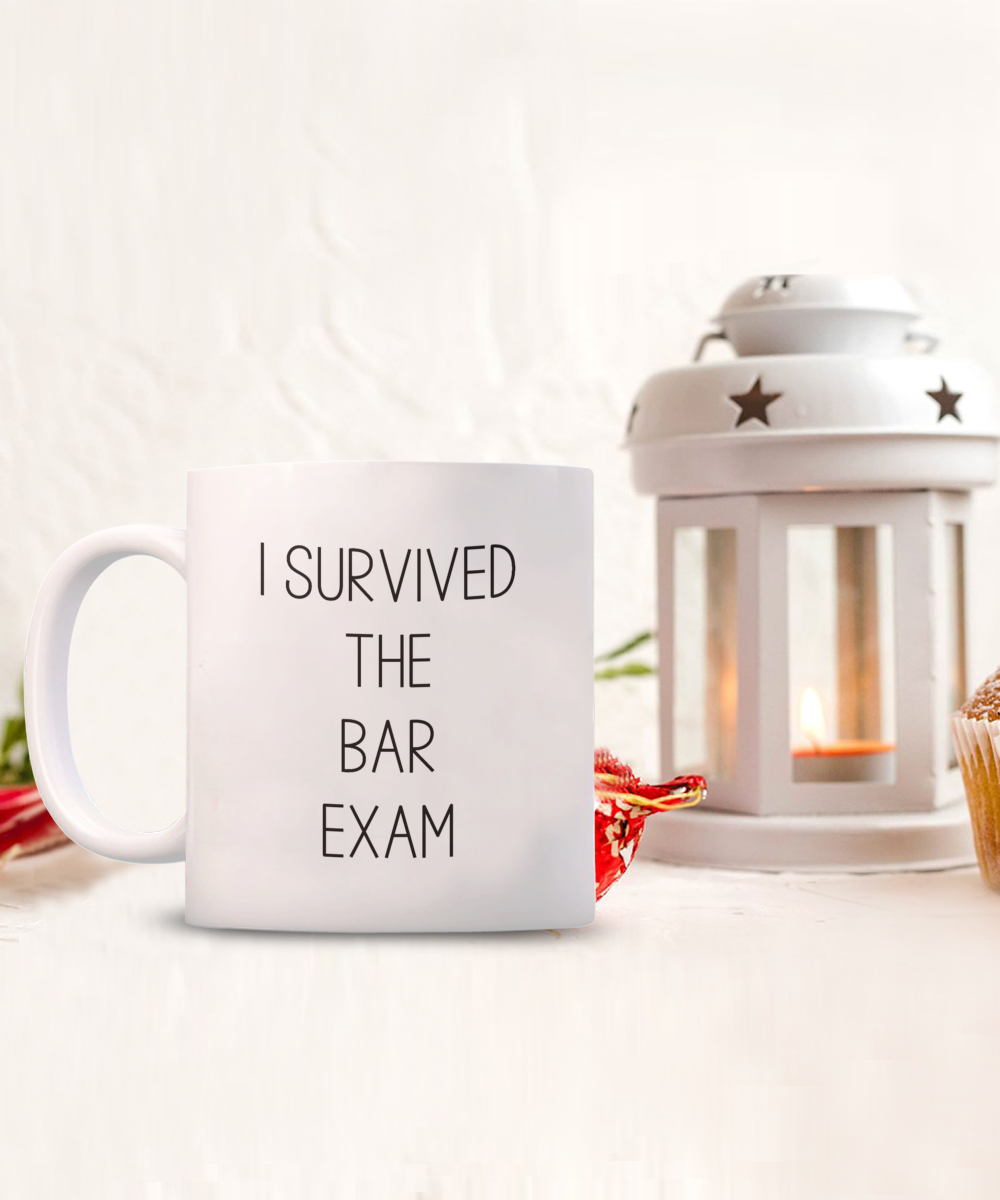 I Survived the Bar Exam