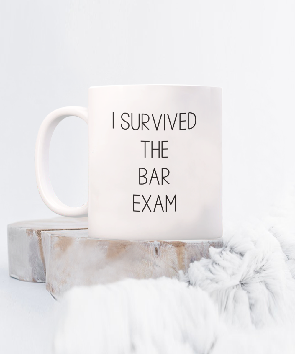 I Survived the Bar Exam