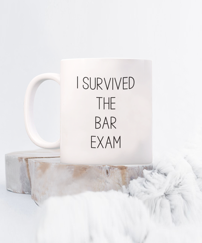 I Survived the Bar Exam