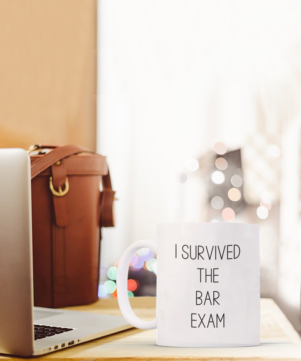 I Survived the Bar Exam